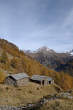 20091028_131605 Colvedro.jpg